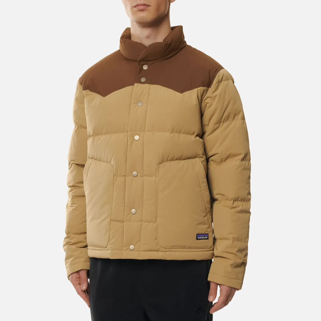 Patagonia Мужской пуховик Bivy Down