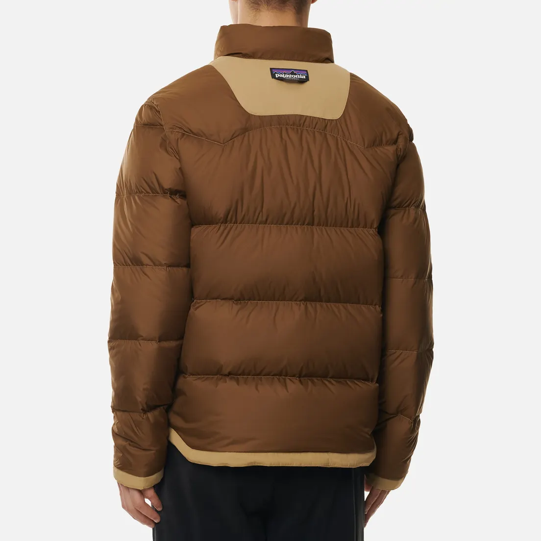 Patagonia Мужской пуховик Bivy Down