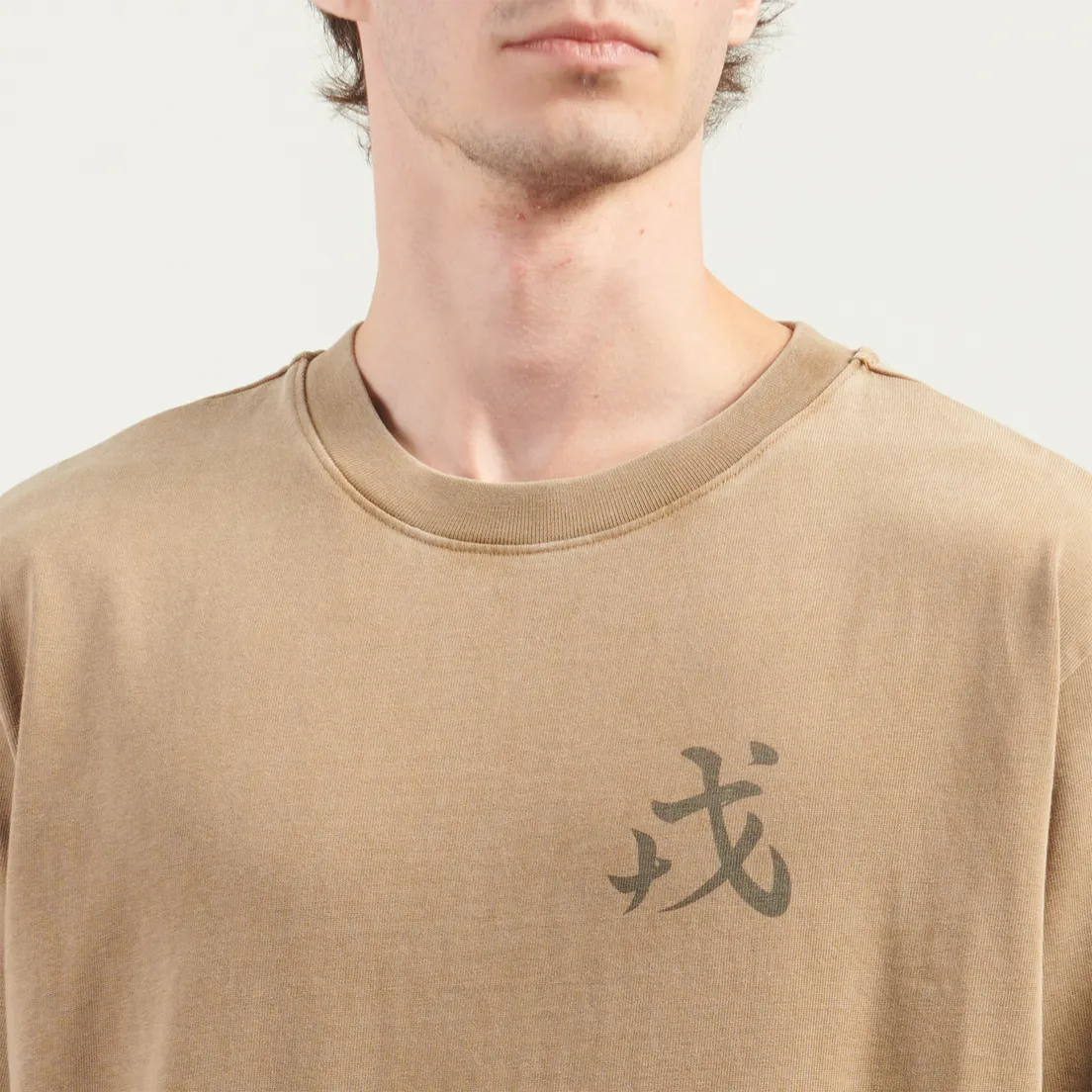 Evisu Мужская футболка Evisya