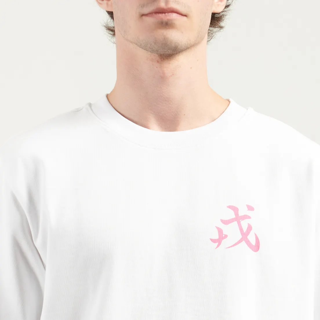 Evisu Мужская футболка Evisya