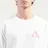 Evisu