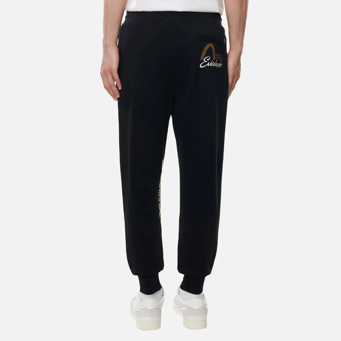 Evisu Мужские брюки Gold Waves