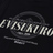 Evisu