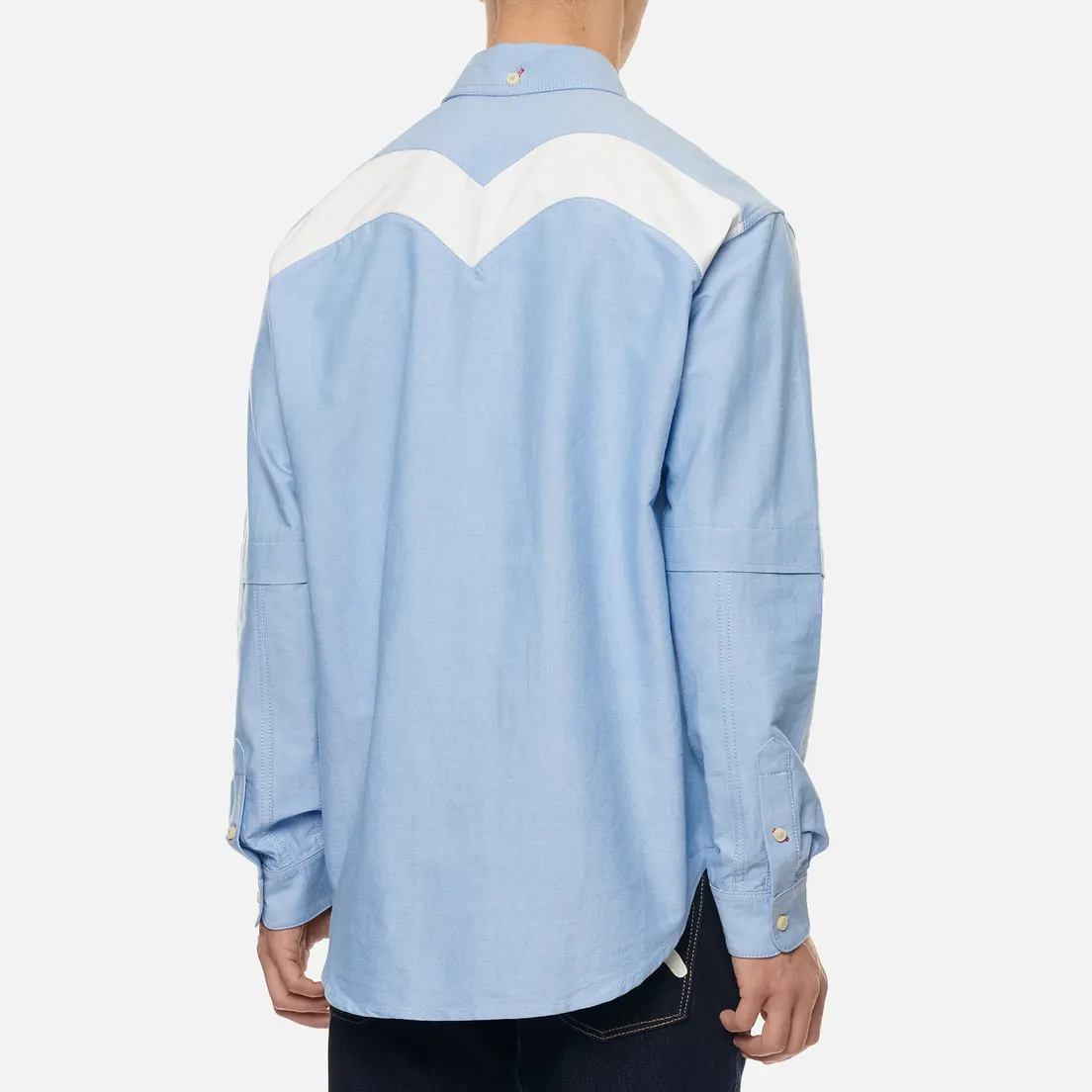 Evisu Мужская рубашка Daicock Print Oxford
