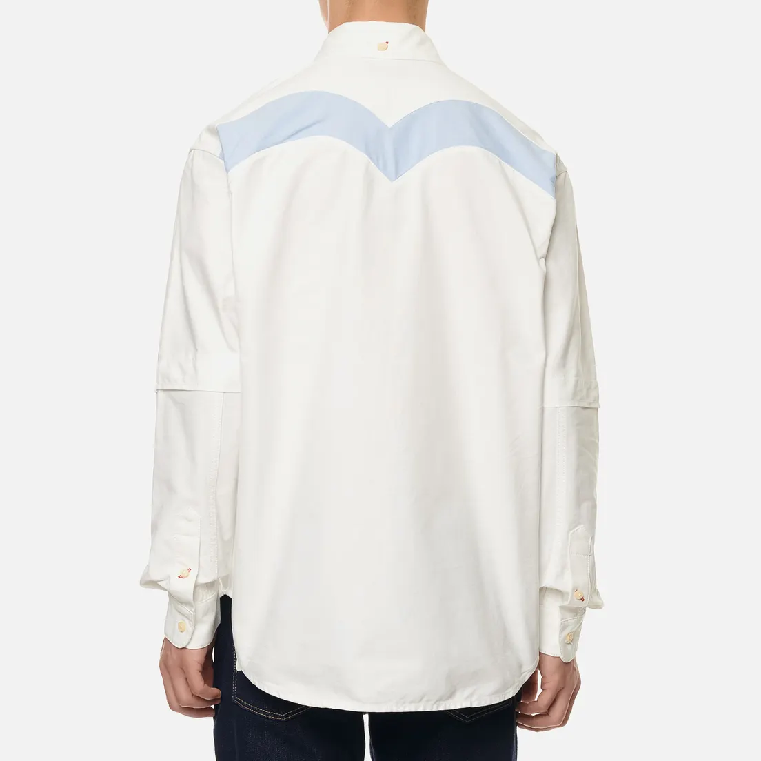 Evisu Мужская рубашка Daicock Print Oxford