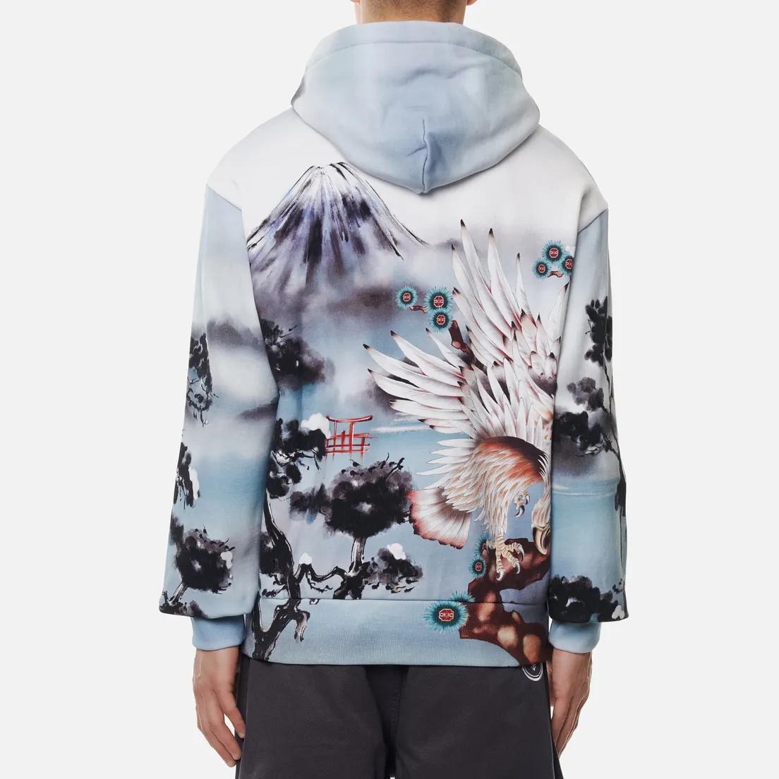 Evisu Мужская толстовка Fuji Mountain Taka All Over Print Hoodie