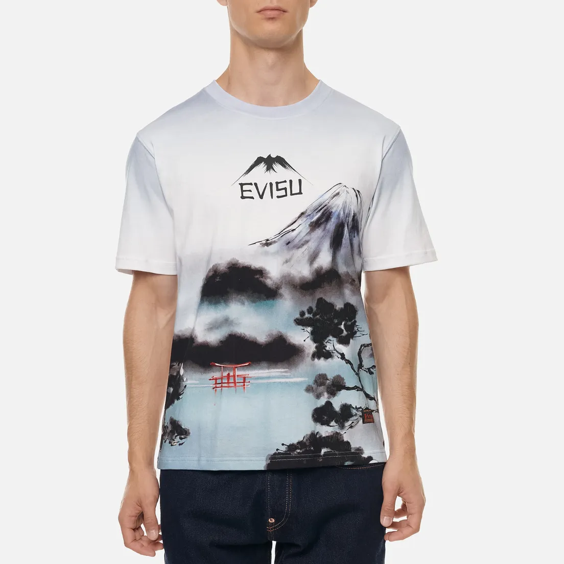 Evisu Мужская футболка Fuji Mountain Taka Allover Print