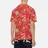 Evisu