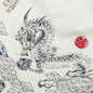 Мужская рубашка Evisu Heritage Dragon & Mountain Fuji Printed Oxford Off White фото - 3