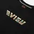 Evisu