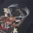 Evisu