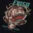 Evisu