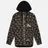 Evisu