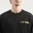 Evisu