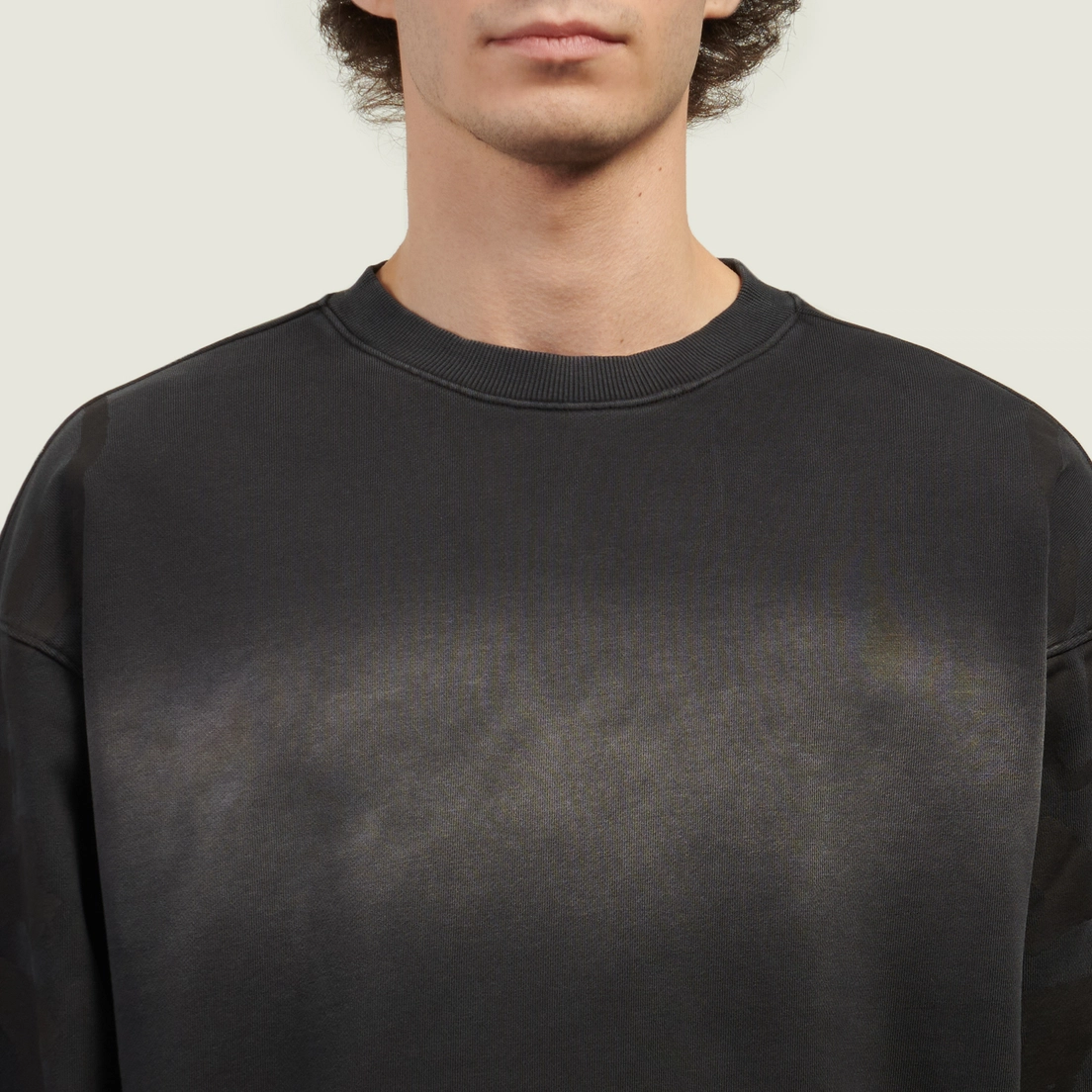 Evisu Мужская толстовка Skull & Seagull Print