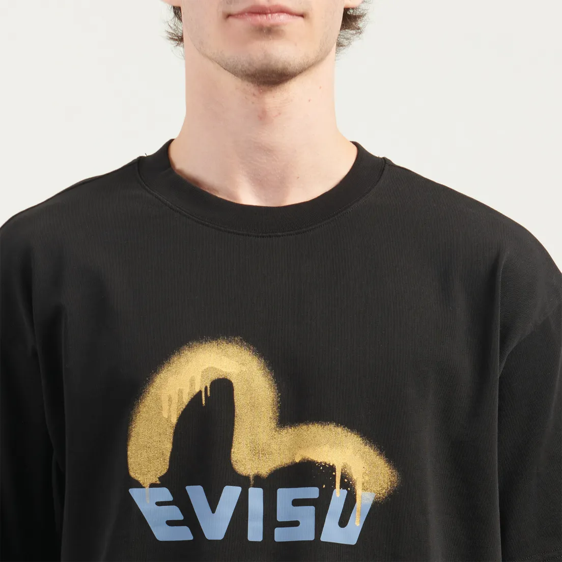 Evisu Мужская футболка Heritage Logo Printed