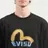 Evisu