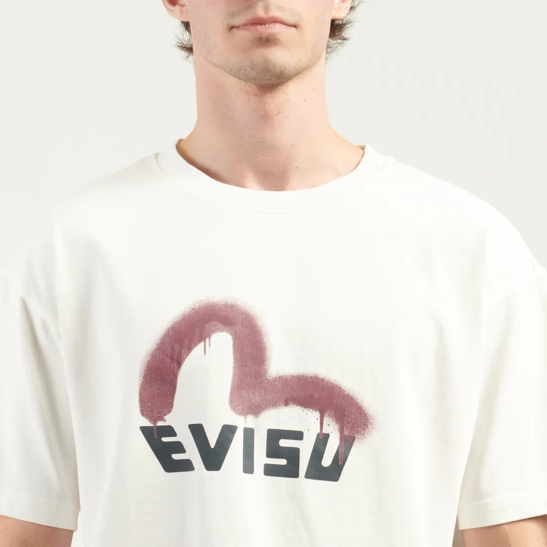 Evisu Мужская футболка Heritage Logo Printed