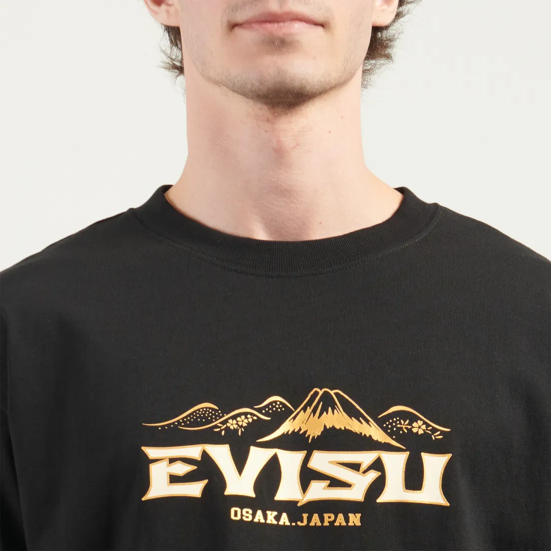 Evisu Мужская футболка Logo & Crane Soaring Daicock Print Relax Fit