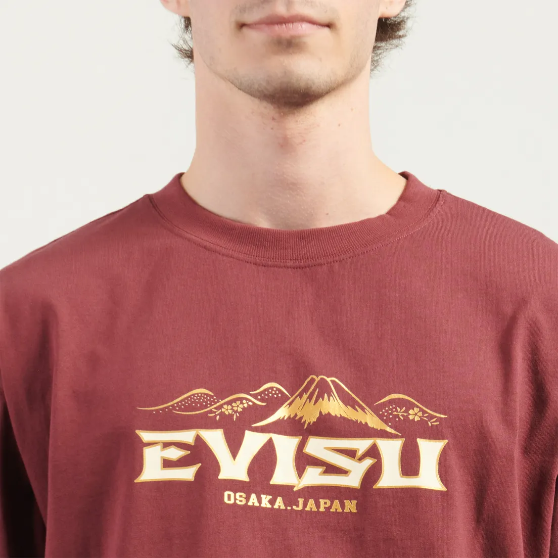 Evisu Мужская футболка Logo & Crane Soaring Daicock Print Relax Fit