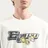 Evisu