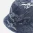 Evisu