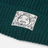 Evisu
