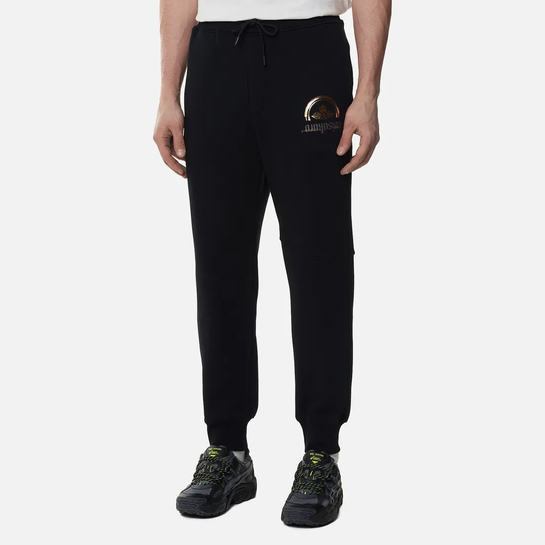Evisu Мужские брюки Multi Logo