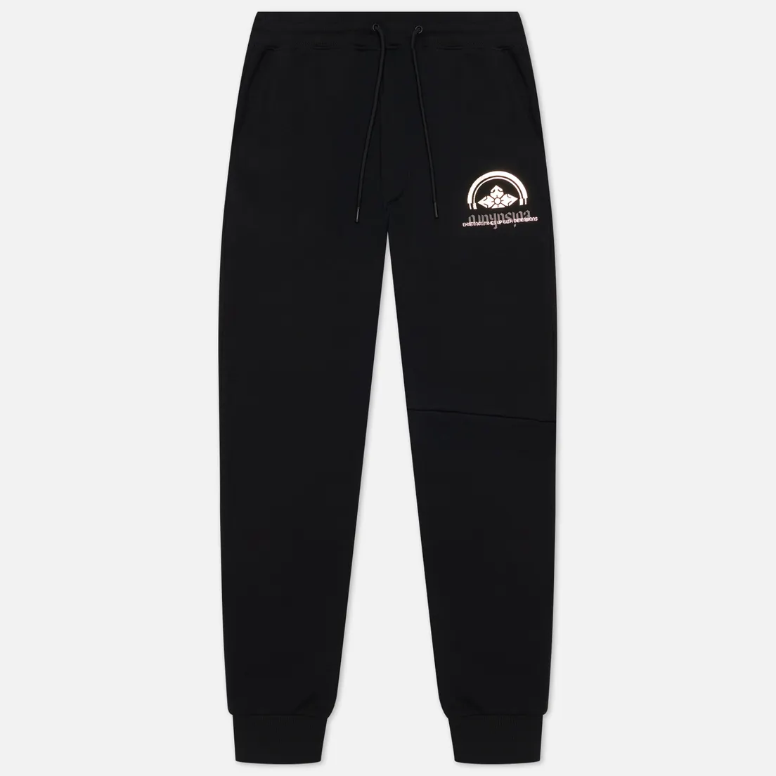 Evisu Мужские брюки Multi Logo