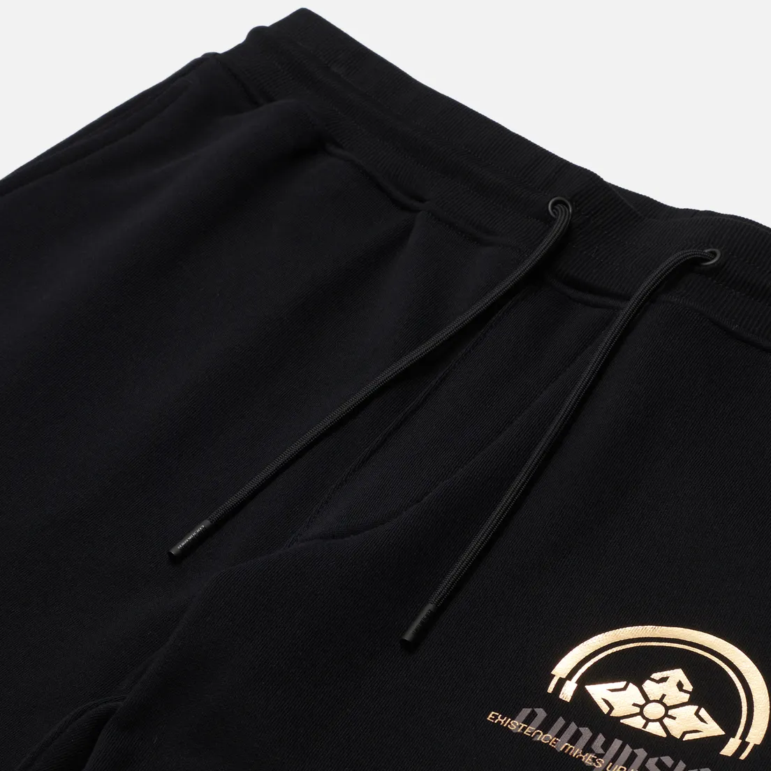 Evisu Мужские брюки Multi Logo