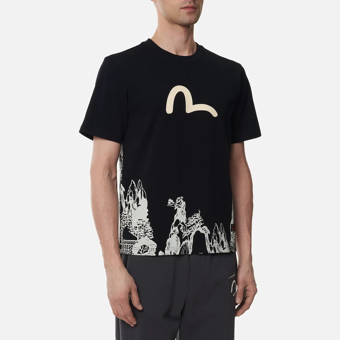 Evisu Мужская футболка Gradated Landscape Seagull & Logo Printed