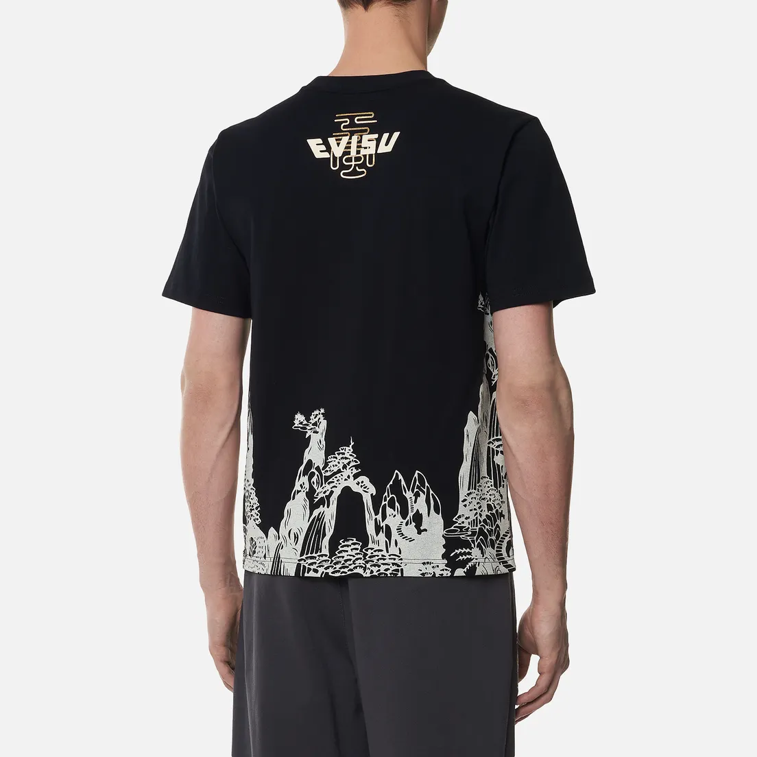 Evisu Мужская футболка Gradated Landscape Seagull & Logo Printed