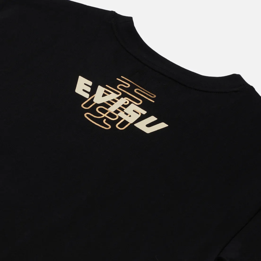 Evisu Мужская футболка Gradated Landscape Seagull & Logo Printed