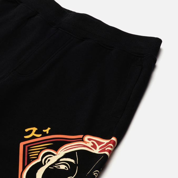 Мужские брюки Evisu, цвет чёрный, размер L 2ESHTM2SP311XXCT-BLKX Heritage Enlarge Printed Godhead - фото 2