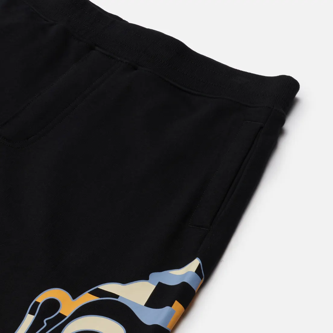 Evisu Мужские шорты Heritage Color Blocking Godhead Printed