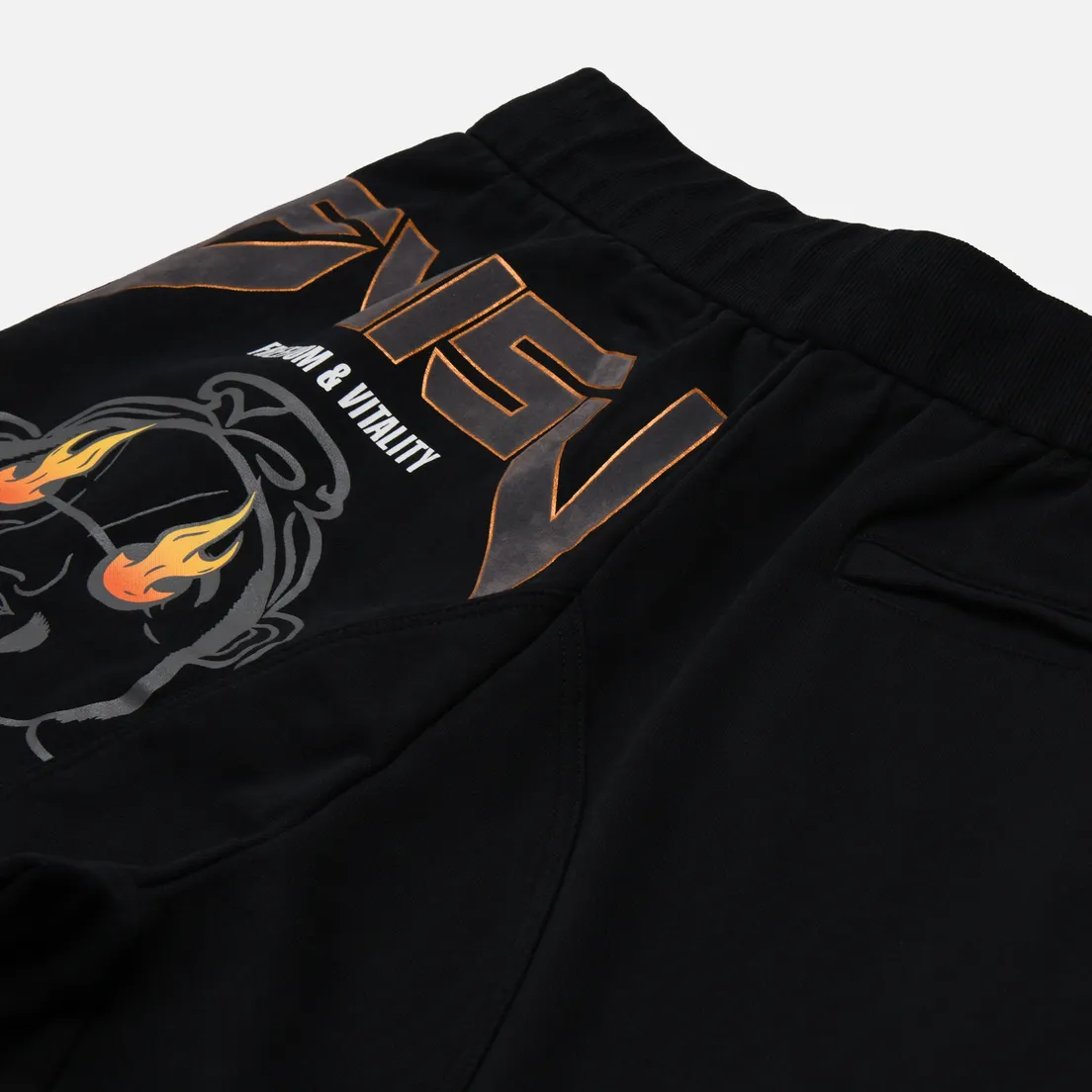 Evisu Мужские брюки Godhead Print Evisu & Seagull Embroidered Cargo