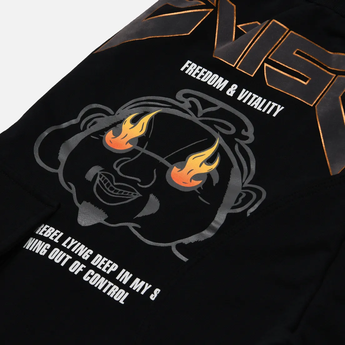 Evisu Мужские брюки Godhead Print Evisu & Seagull Embroidered Cargo