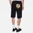 Evisu