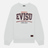 Evisu