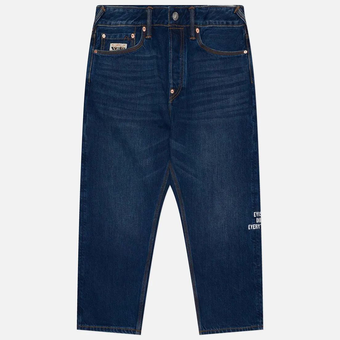 Evisu Мужские джинсы Seagull Embroidery & Koinobori Print