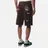 Evisu