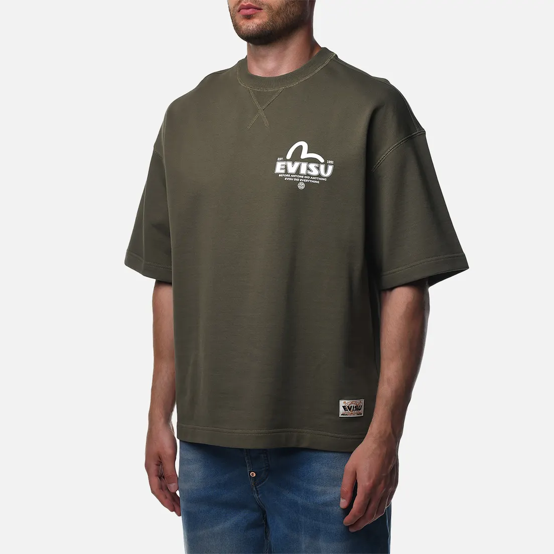 Evisu Мужская толстовка Seagull & Koinobori Print