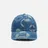 Evisu