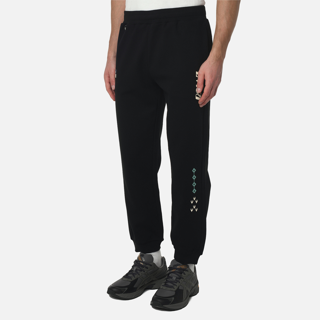 Evisu Мужские брюки Heritage Totem Seagull Embroidery