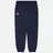 Evisu