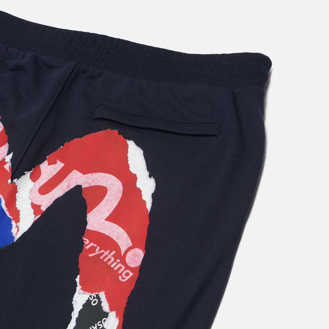 Evisu Мужские брюки Heritage Poster Daicock Printed