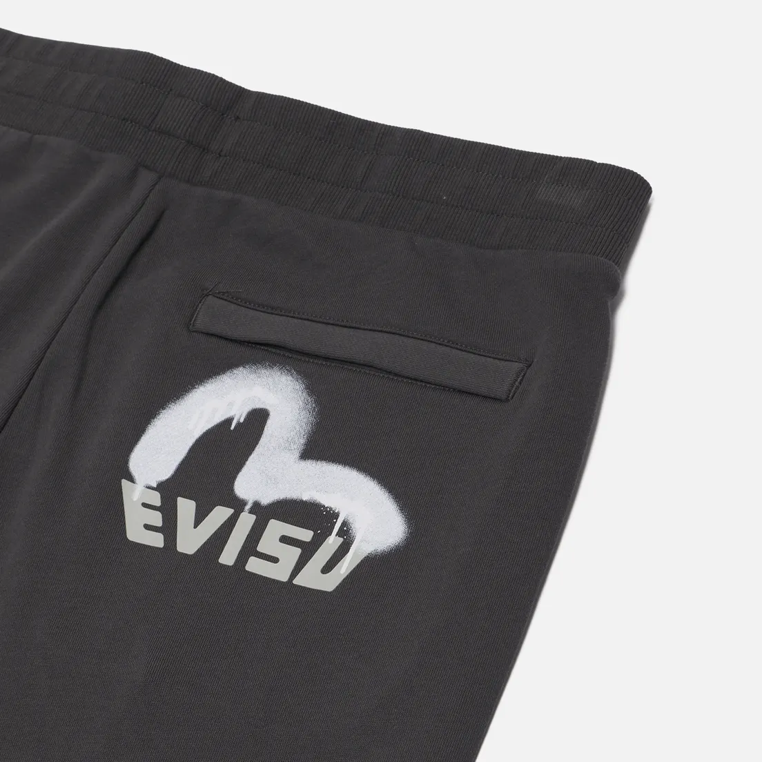 Evisu Мужские брюки Heritage Spray Dyed Seagull Embroidery