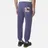 Evisu