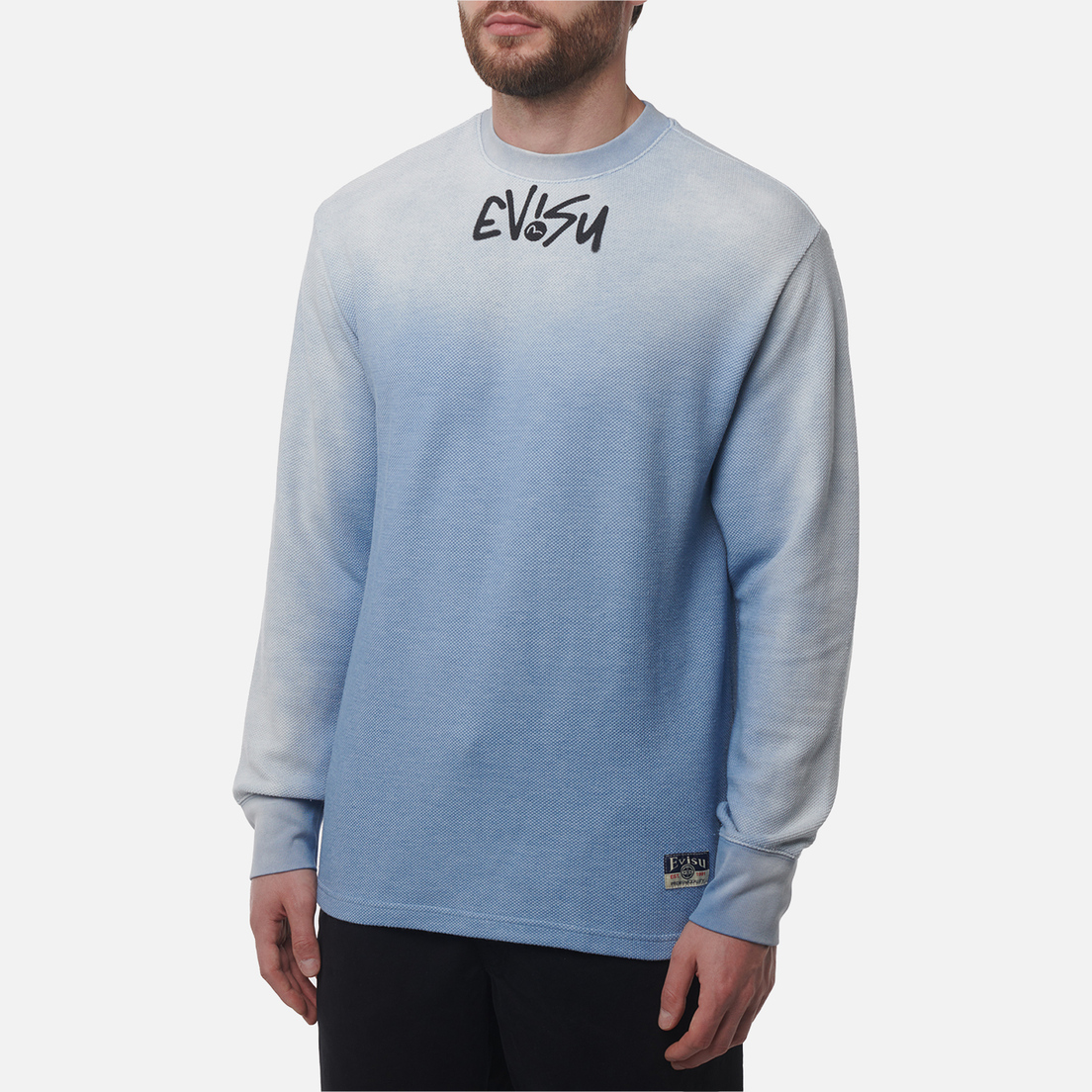 Evisu Мужская толстовка Logo & Daicock Print
