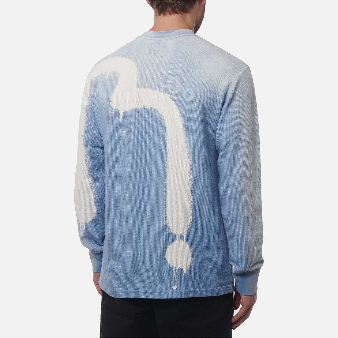 Evisu Мужская толстовка Logo & Daicock Print